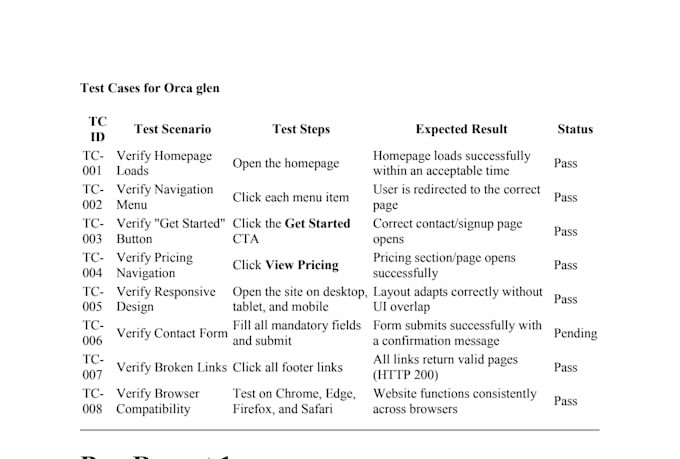 do manual and automation testing for your website